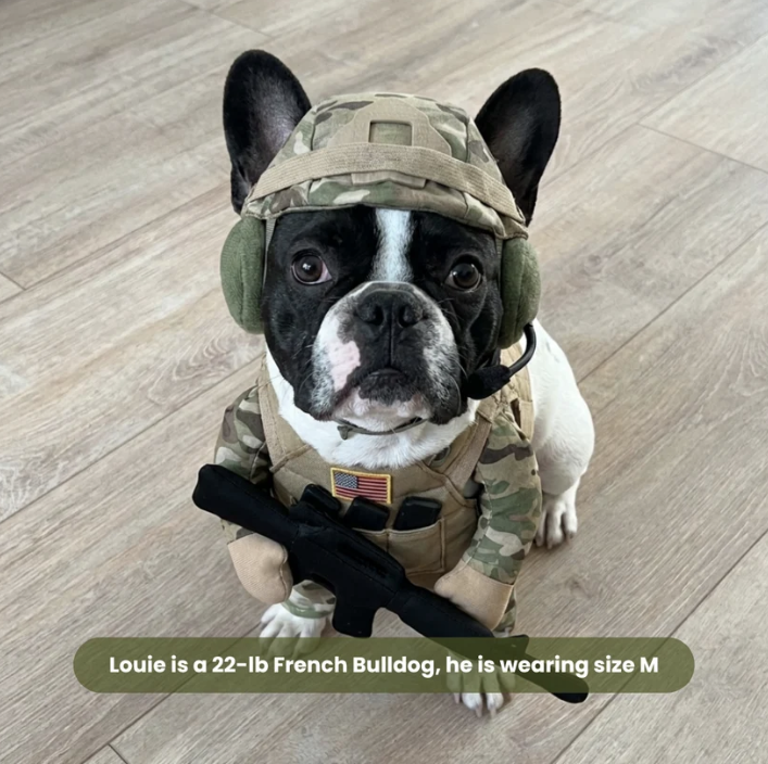 Sergeant Paws Costume